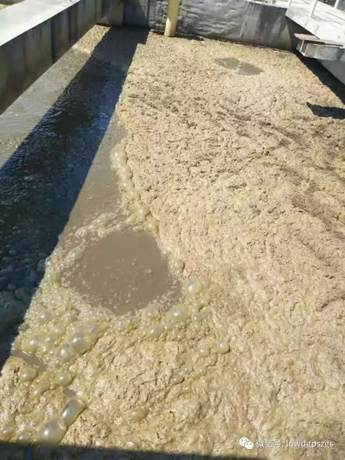 东江污水处理厂更换表曝机设备