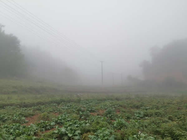 区供排水总公司领导深入王家沟村检查指导脱贫攻坚工作