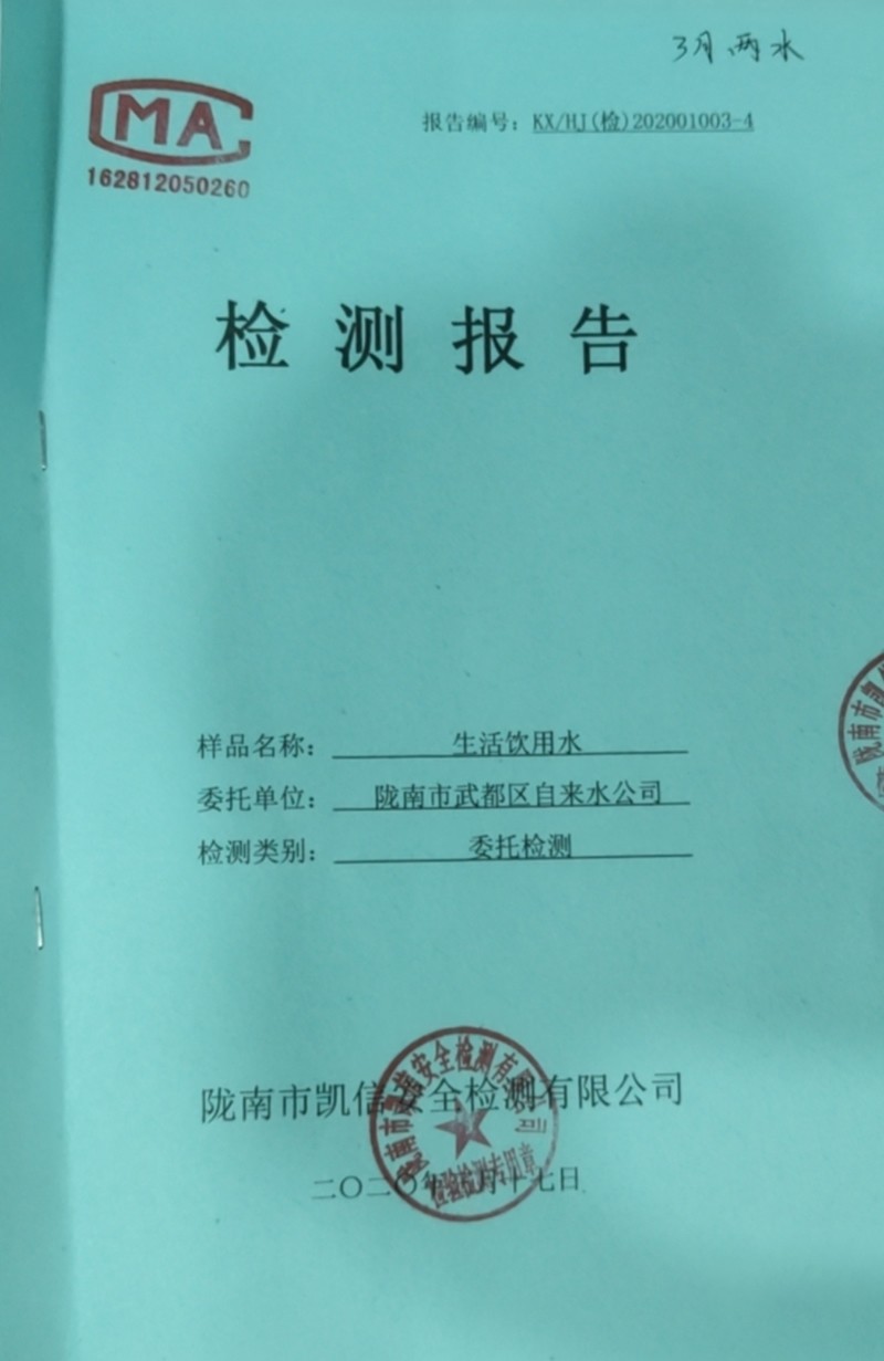2020年3月17日武都城区饮用水检测报告