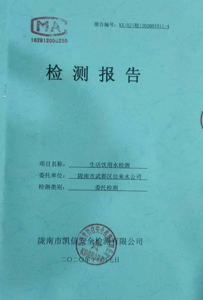 2020年11月7日武都城区饮用水检测报告
