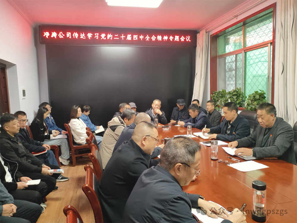 武都区净涛供水有限责任公司传达学习党的二十届四中全会精神